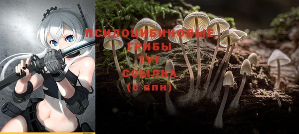 каннабис Абинск