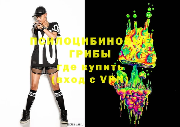 ECSTASY Абаза